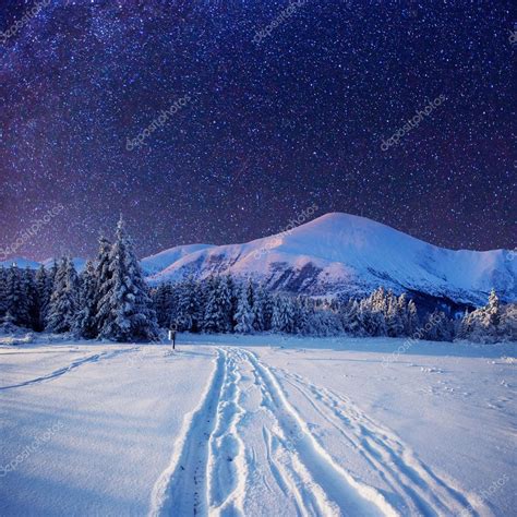 Starry sky in winter snowy night — Stock Photo © myronstandret #58384543