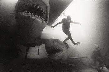 Jaws 4 - behind the scenes - on the set | Movies and tv shows, Jaws ...