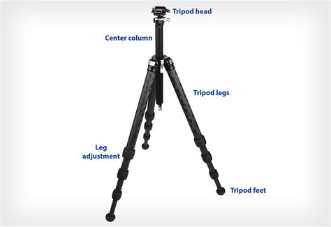 The Beginner's Guide to Tripods | PetaPixel