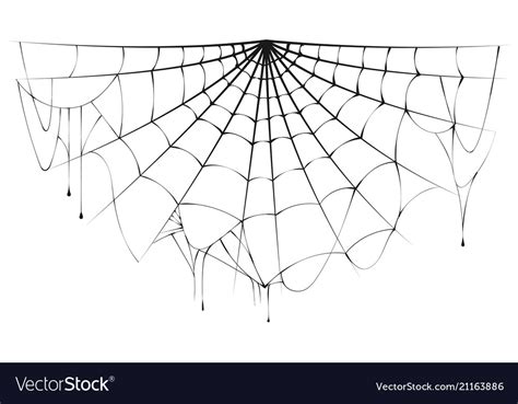 Torn semicircular spider web over white background