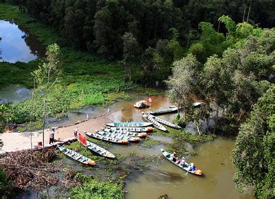 Dong thap develops eco-tourism and traditional craft village - Viet Nam National Authority of ...