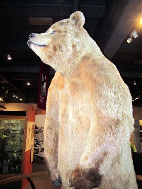 North to Alaska: Museums of Fairbanks