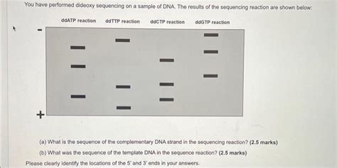 Solved You have performed dideoxy sequencing on a sample of | Chegg.com