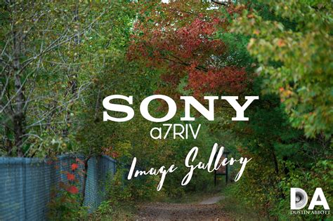 Sony a7R IV Image Gallery - DustinAbbott.net