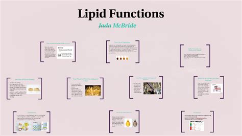 Lipid Functions by Jada McBride on Prezi