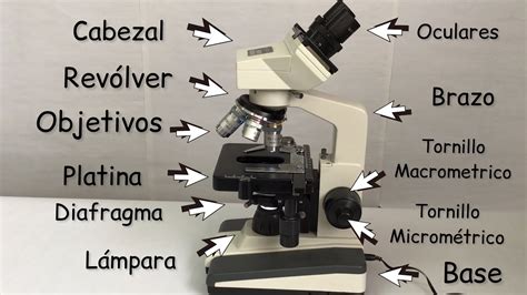 personaje hierro Sacrificio partes del microscopio revolver instante ...