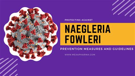 Protecting Against Naegleria fowleri: Prevention Measures and Guidelines - Best Piles (Bawaseer ...