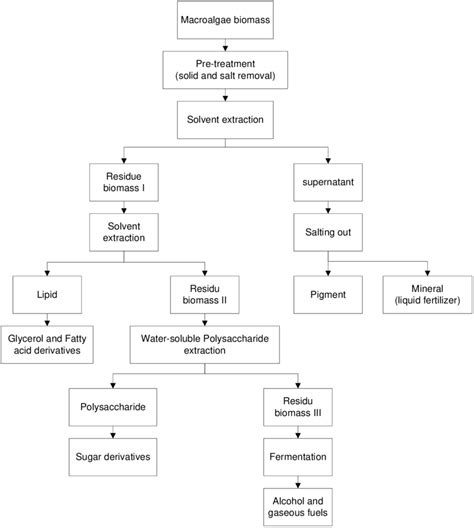 Schematic diagram of the production of biofuel and valuable products ...