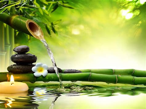 Spa still life, candle, relax, bonito, bamboo, still life, leaves, stones, calm, HD wallpaper ...