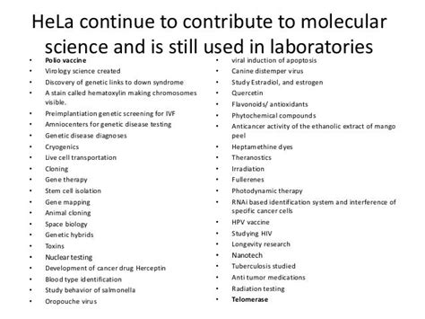 HeLa cells