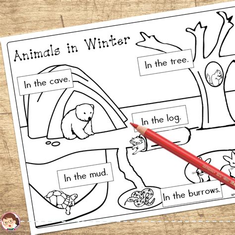 Animals in Winter Preschool and PreK Literacy Activities | Made By Teachers