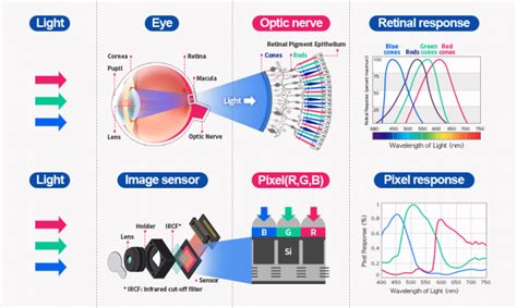 Development of CMOS image sensors accelerates to serve a variety of ...