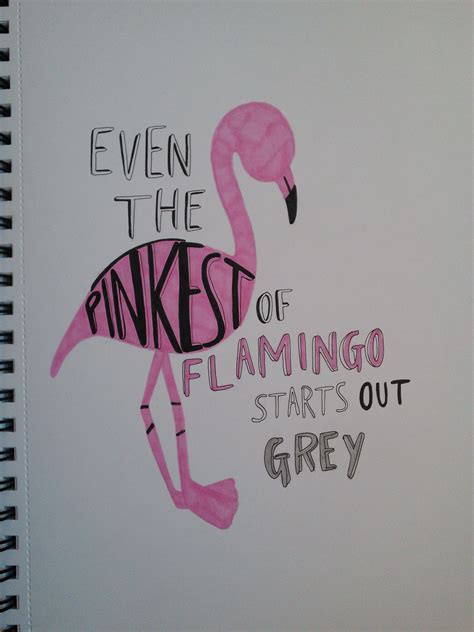 Flamingo Quotes - ShortQuotes.cc