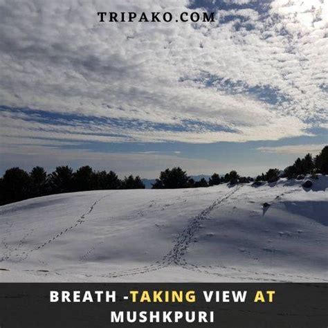 Mushkpuri Top: The Highest Mountain in Nathia Gali - Tripako