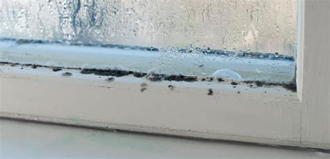 How to stop condensation on windows (and what causes it)