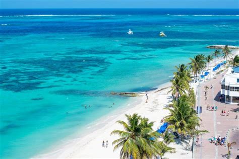 the beach is lined with palm trees and blue water