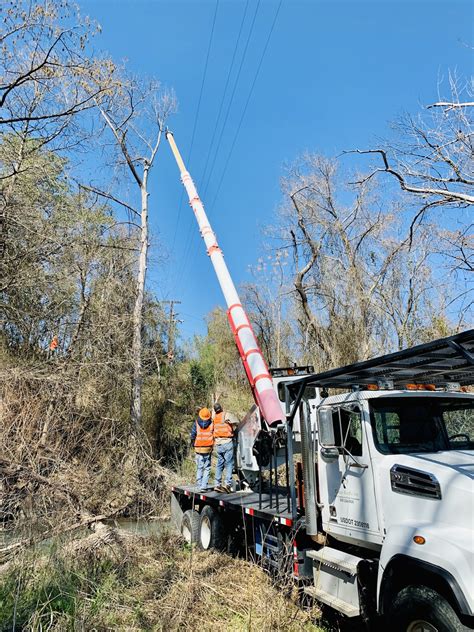 Natural Disaster Cleanup | Cedar Beetle ROW Service