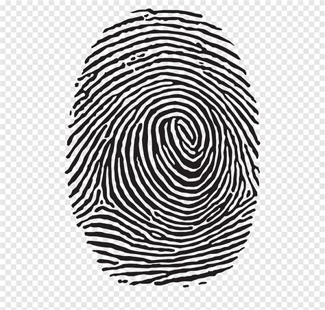 Free download | Fingerprint, png | PNGEgg