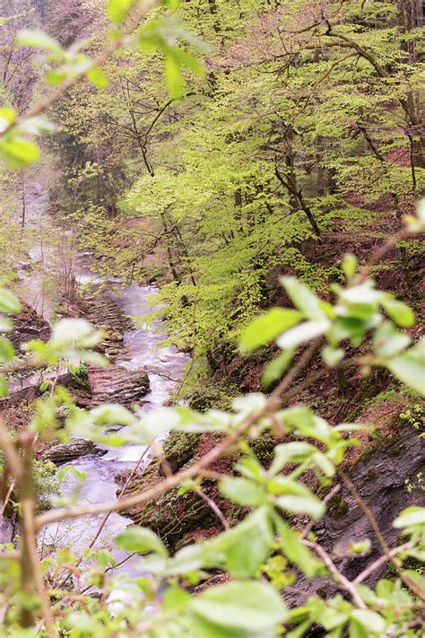 Small river at the Thur waterfalls in Unterwasser in Switzerland ...