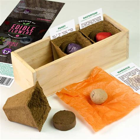 Edible Flowers Growing Kit (marigold, pansy, nasturtium) - Resetea