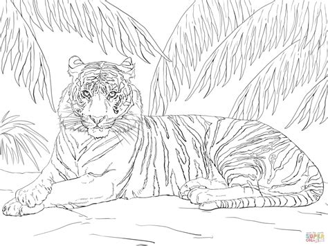 Get This Tiger Coloring Pages for Adults 26138