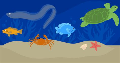 What is Marine Biology? | AMNH