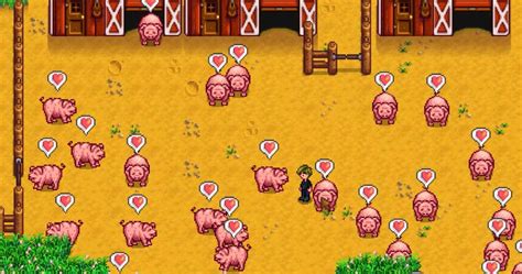 Every Animal Product Ranked By Profit In Stardew Valley