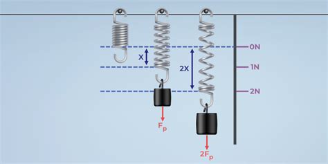 Physics Form 2 Notes : CHAPTER SEVEN – HOOKE’S LAW. - EcoleBooks