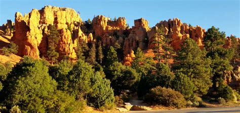 National Forests in Utah