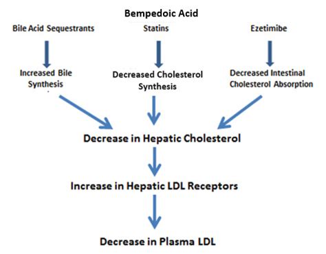 Figure 1. [Mechanism for the Decrease in LDL Levels]. - Endotext - NCBI Bookshelf