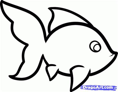 Easy Drawing | Easy fish drawing, Easy animal drawings, Easy drawings