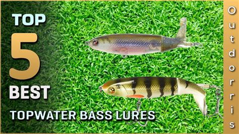 Top 5 Best Topwater Bass Lures Review in 2023 - YouTube