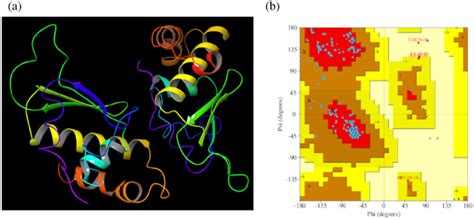 Homology modeling of the Rv0807 homodimer. (a) 3D structure of the ...