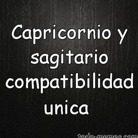 ️】Sagitario y Capricornio en el Amor - Epoje