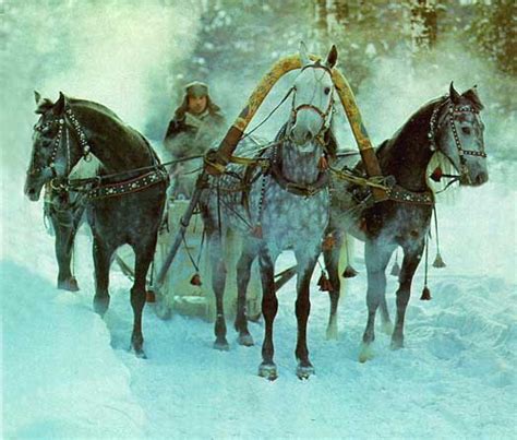 Troika Games With Russia's Famous Horse Drawn Vehicles