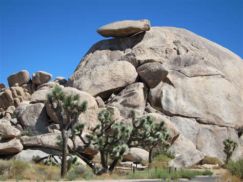 AFAR.com Highlight: Cap Rock, Joshua Tree by Matthew Fenster | Joshua tree national park ...