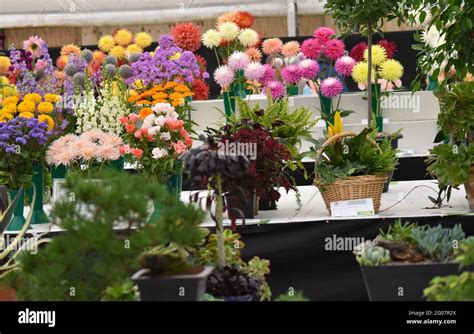 Shrewsbury Flower Show Stock Photo - Alamy