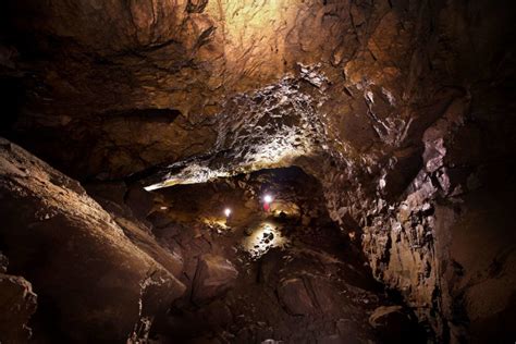 Inside Alberta's biggest bat cave | CBC News