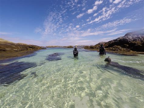 I'm still dreaming of my trip to Scotland and snorkeling at the Isle of Coll. : r/travel