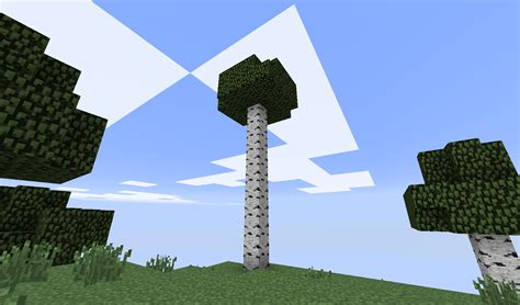 Long birch tree : r/Minecraft