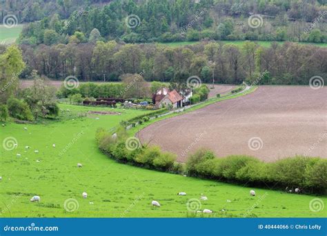 An English Rural Landscape stock photo. Image of road - 40444066