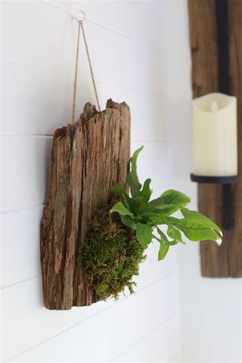 How to make hanging wood planters with cork bark | Living wall art ...