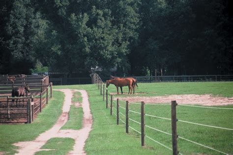 Advantages and Disadvantages of Different Horse Fence Types