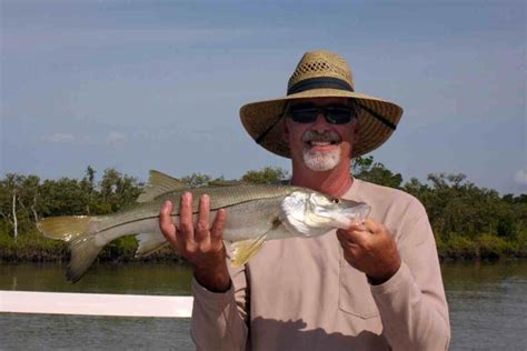 Complete Guide to Baits and Lures for Snook Fishing - FishFinder HQ