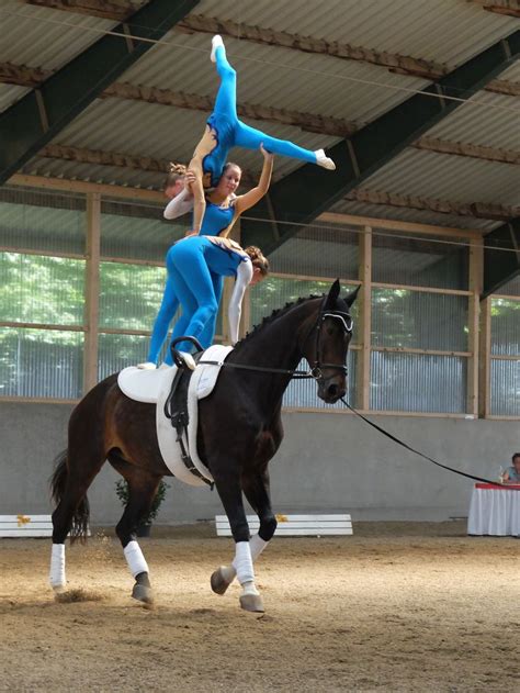 Gymnastics on Horseback | Vaulting equestrian, Horse vaulting, Trick riding