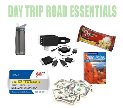 Road Trip Essentials • Mellzah