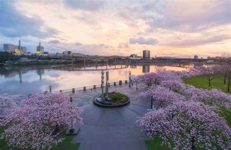 The 8 Best Tours of Portland, Oregon of 2021