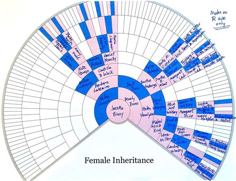 DNA Discovery: Phasing the X Chromosome