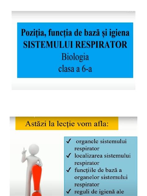 Sistemul Respirator | PDF