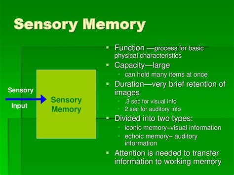 Echoic Memory